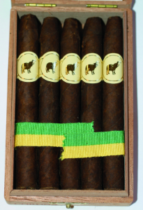 Bild von 10 De Olifant Corona brasil