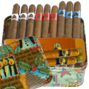 Bild von 23 helle Cigarren in dekorativer Dose