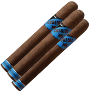 Bild von 3 Corrida Toro aus Nicaragua