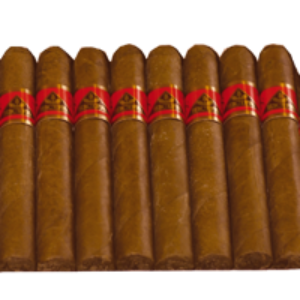 Bild von 50 Privat Cigarren, hell im Karton