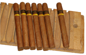 Bild von 5 Extra Corona hell 1888