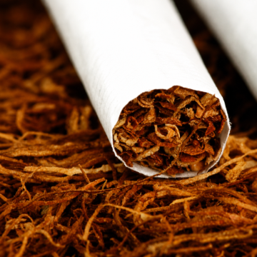 Bild für Kategorie Cigaretten