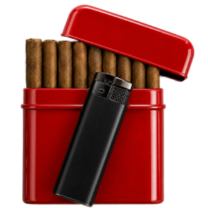 Bild von Etui in diversen Farben gefüllt mit feinen Cigarillos mit Filter & Feuerzeug